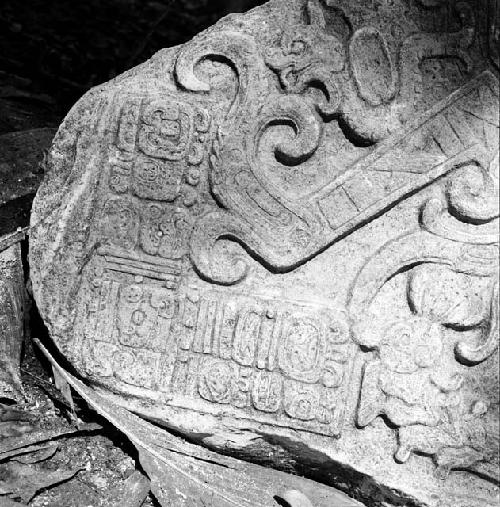 Detail of Stela 7 at Machaquila