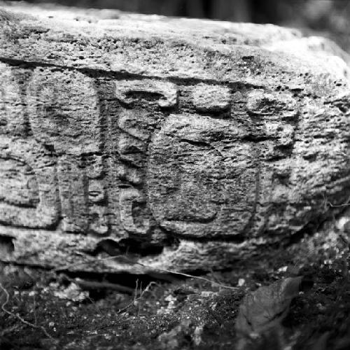 Detail of Stela 2 at Machaquila