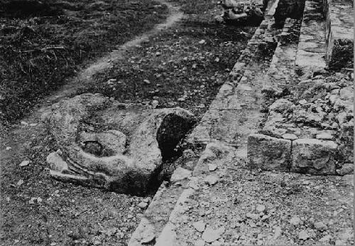 Serpent head at base of S. balustrade at Temple of Wall Panels