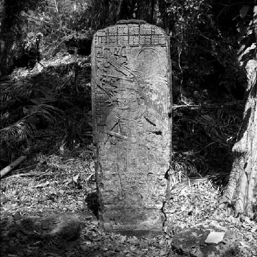 Stela 11 at Seibal