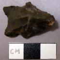 Projectile point