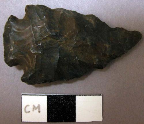 Projectile point