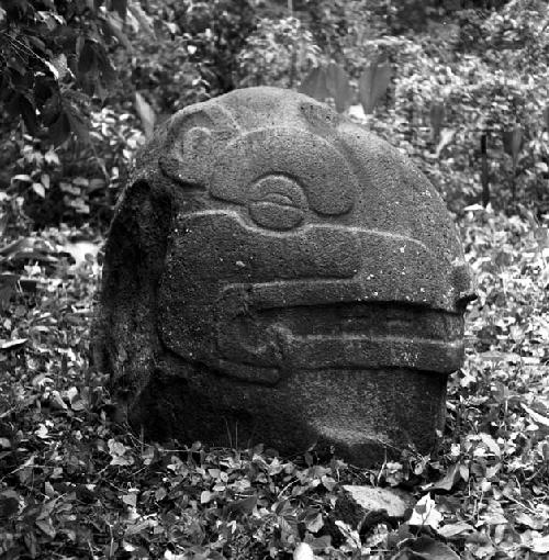 Reptile head sculpture at Sabana Grande