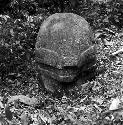 Reptile head sculpture at Sabana Grande