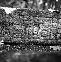 Detail of Stela 2 at Machaquila