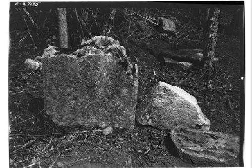 Fragments of fallen stelae