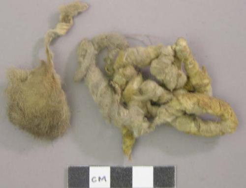 Animal hide fragments with fur, some twisted into a strand