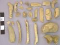 Bone, mammal bone fragments, rib, vertebrae, long bone