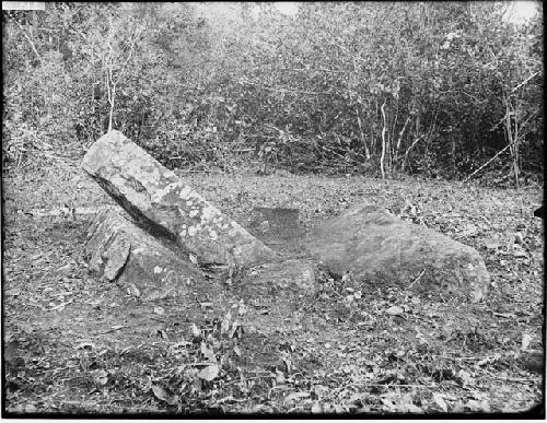 Stela 8, looking north