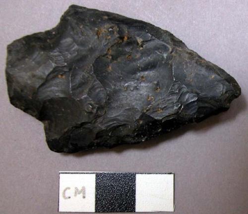 Projectile point