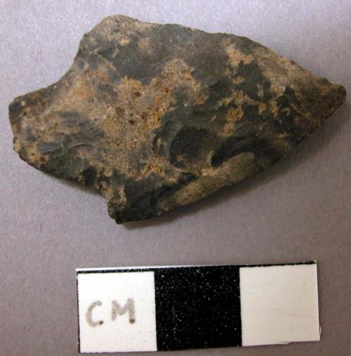 Projectile point