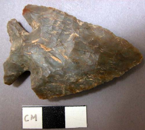 Projectile point