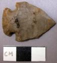 Projectile point