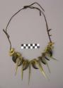 Necklace of eagle talons, "splint bones" from deers' legs and metacarpals