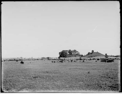 Mounds South of Cahokia Mound