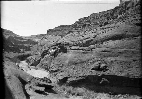 Two Mile Trachite Canyon