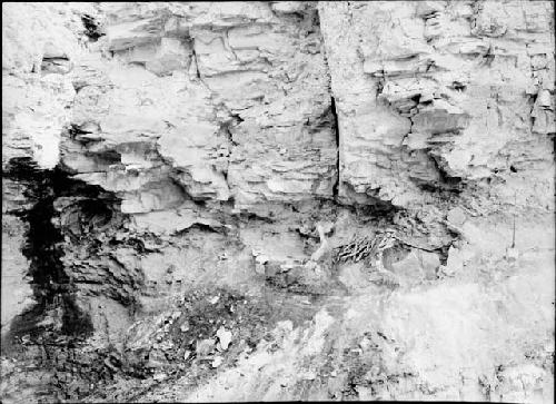 View of Granaries at Site FL-12-5