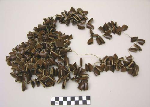 Necklace of pods