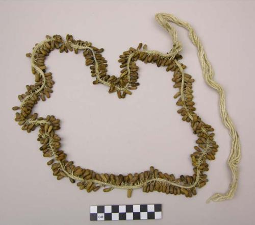 Seed necklace or bandoleer