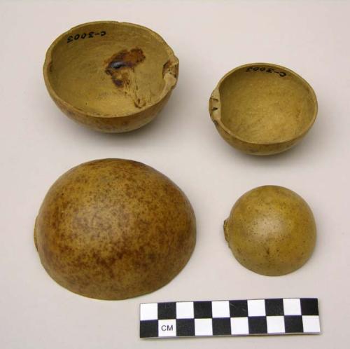 Calabash drinking cups (Jicaro)