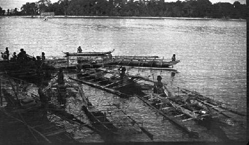 Men rowing a group of double outrigger dugout canoes