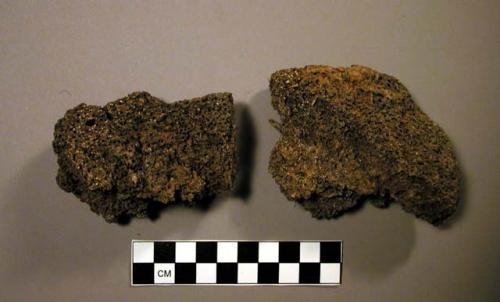 Piece of dung, with some vegetal concretions. found with exhibit materials