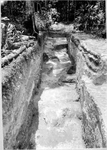 Looking West down Main Trench East group