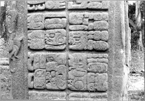 Stela D, west side