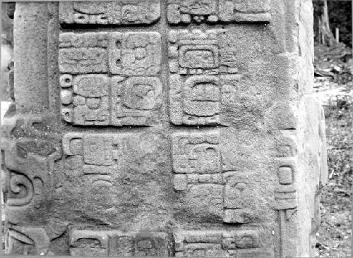 Stela D, west side