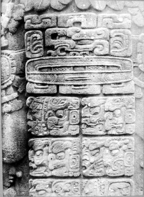 Stela F, east side glyphs (1)