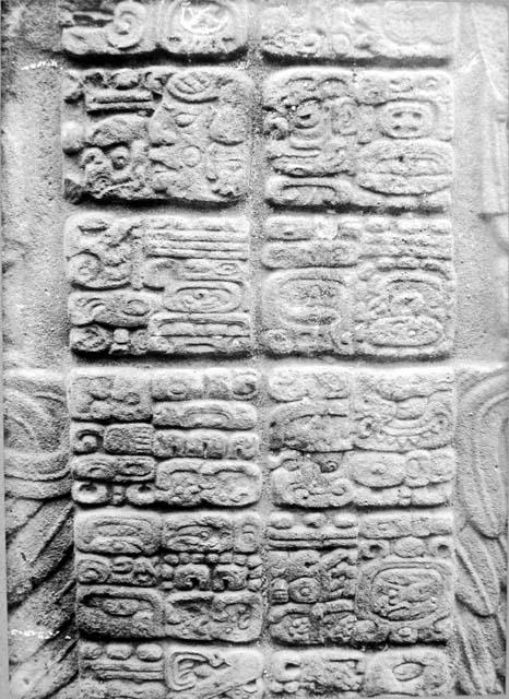 Stela F, east side glyphs (4)