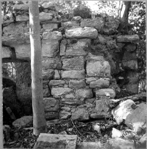 Structure 50 - North facade - Western half.