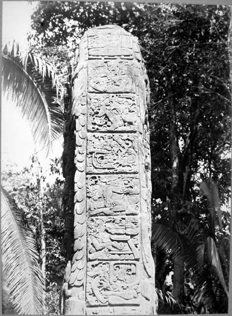 Stela D, west side detail