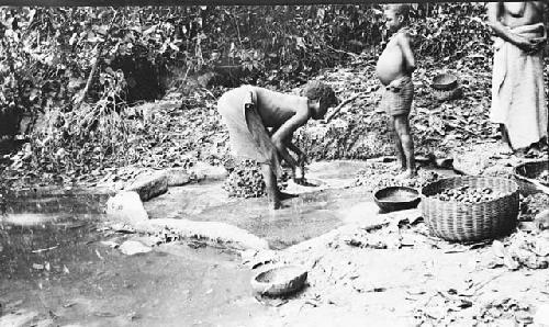 Individuals pressing palm nuts to extract the palm oil