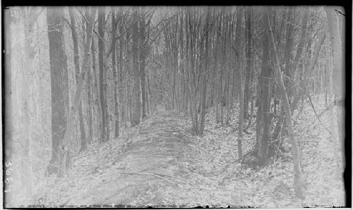 Millis Earthworks - trenches and embankments