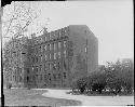 Peabody Museum - west end