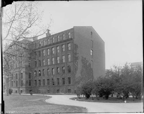 Peabody Museum - west end