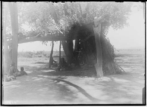 Summer shelter