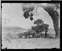 Noon camp, San Juan river