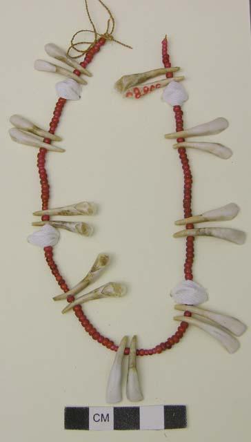 Necklace of glass beads and small teeth