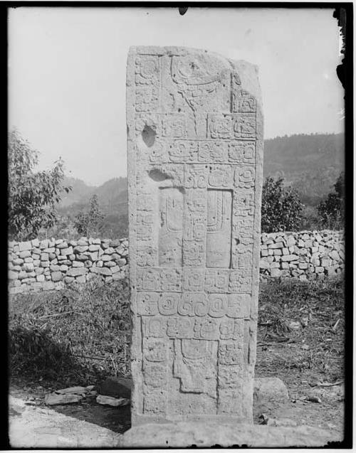 Western side of Stela J