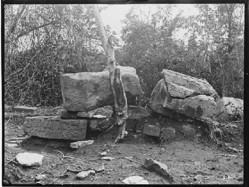 Stela 5 and pedestal - looking north