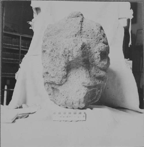 Carved head of dark grey igneous stone, possibly a jaguar