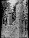 Excavation of the Mound of the Painted Columns