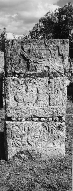 5C15. West side of column 7.