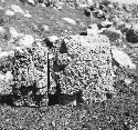 5C15. Sculptured loose stones on top of Temple of Phaluses, area 26