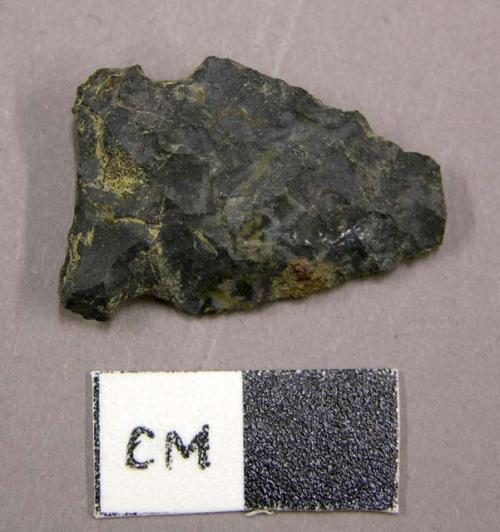 Projectile point