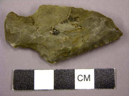 Projectile point