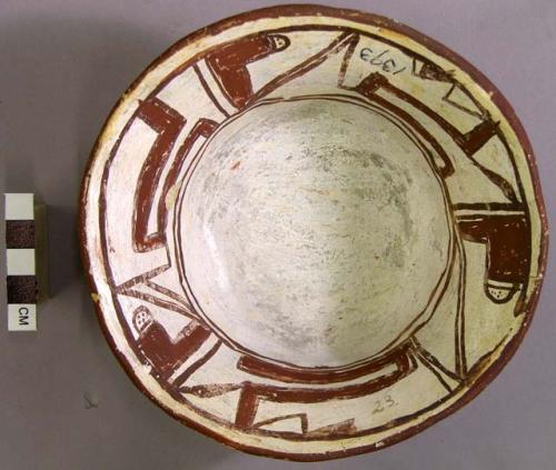 Bowl, polacca polychrome style c. int: linear design; ext: slipped, no design. 6