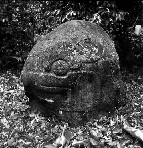 Reptile head sculpture at Sabana Grande